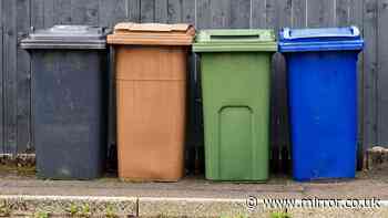 Households urged to do 'simplest' step to avoid bins not being collected or fines