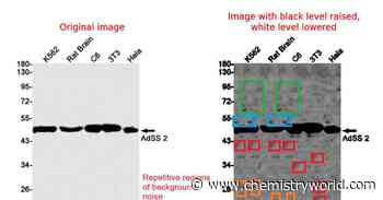 Antibody data manipulation extends to thousands of images across 15 suppliers