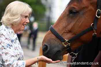 Camilla’s praise for inner-city riding club