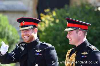 Trump says Prince Harry’s treatment of Prince William was ‘terrible’