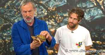 "Monsters of God" creators on the deep, dark world of reptile smuggling