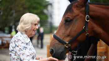 Queen Camilla returns to riding school she opened 25 years ago to visit one of late Queen's horses