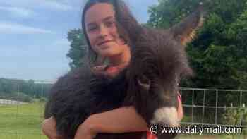 Georgia cop who shot and killed baby donkey called Heehaw after it 'charged' at him is named... as his excuse is revealed
