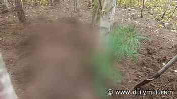 Two female mushroom-pickers are mauled to death and buried by bears in Russian forest