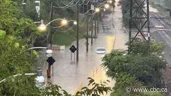 Toronto thunderstorm cleanup continues after rescues, power outages and over 1,000 emergency calls