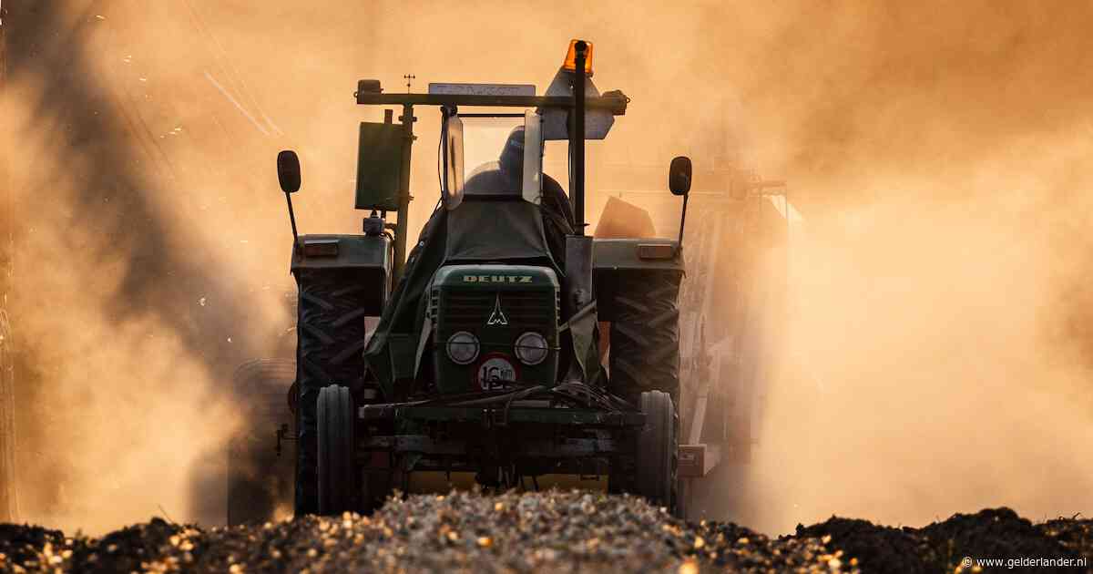 Rekenkamer waarschuwt: maatregelen tegen droogte lopen veel vertraging op