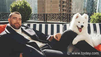Travis Kelce and Taylor Swift Have a Dog! And She ‘Crushed’ Her Big Debut in Ad Campaign