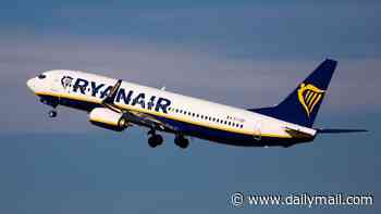 Female Ryanair passenger, 22, 'is sexually assaulted by man sitting next to her after passing out'