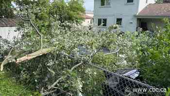 Storm that hammered south, southwestern Ontario leaves 'significant' damage, outages as cleanup continues