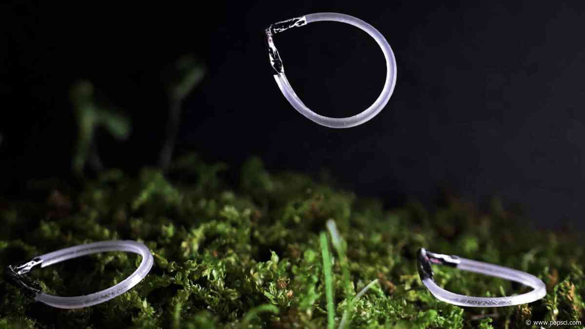 Bracelet-shaped robot just keeps jumping