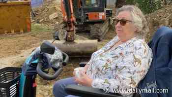 Pensioner, 76, blocks diggers with her mobility scooter saying she 'doesn't mind being arrested' in row over building work