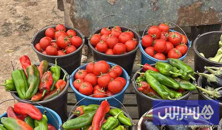 أسعار الطماطم ترتفع .. ومهنيون يحمّلون التقسيط مسؤولية الغلاء