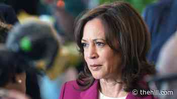 Harris on some Democrats shunning her: 'I would expect nothing less'