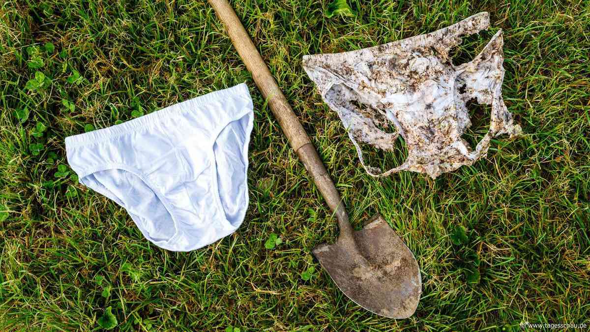 Ig-Nobelpreise: Unterhosen verbuddeln für die Wissenschaft