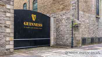 Guinness depot raided as brazen thieves steal 70,000 pints worth £115k