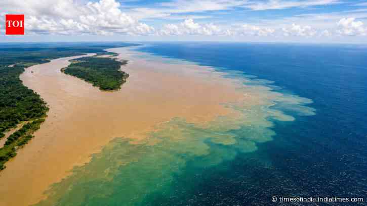 Amazon River pours 28 billion gallons into Atlantic, reducing salinity 100 miles offshore