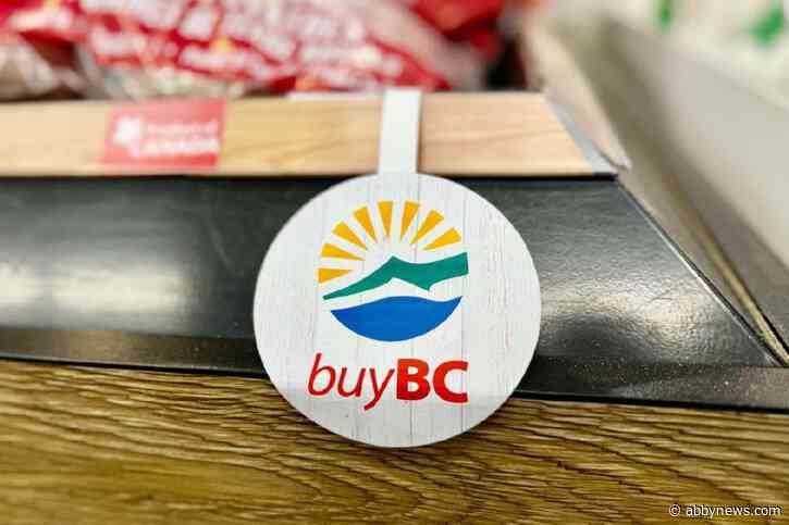 Mission businesses grapple with uncertainty amid Canada-U.S. trade war