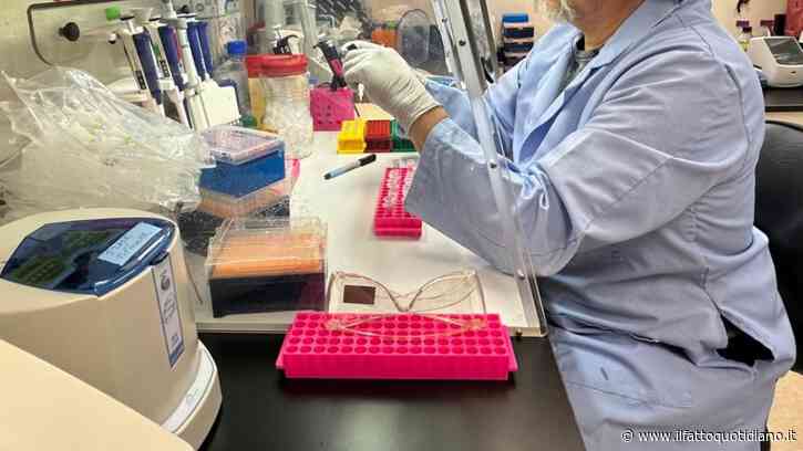 La tattica del cancro per spegnere le difese: scoperto un nuovo bersaglio per l’immunoterapia. Lo studio su Science