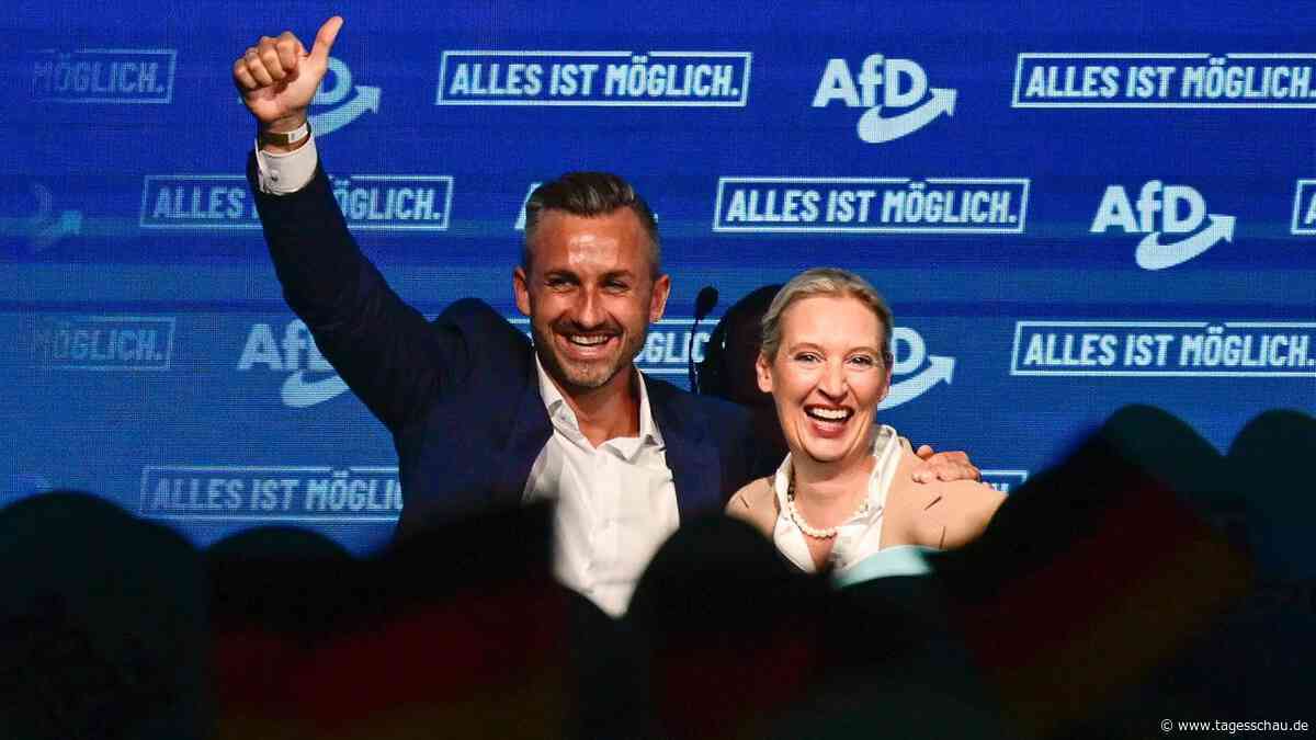 Warum in der Wahl auch ein Risiko für die AfD steckt