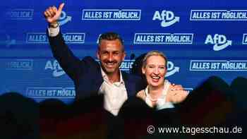 Warum in der Wahl auch ein Risiko für die AfD steckt