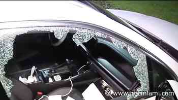 Video shows multiple cars broken into in gated community in Gladeview