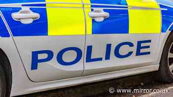 Boy, 16, arrested after police chase crash in 'stolen car' as two officers injured