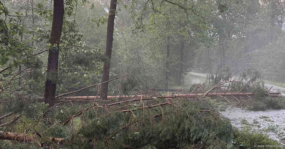 Klettgau: Kind bei Unwetter von Ast erschlagen - "schreckliches Ereignis"