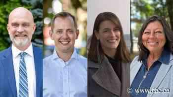 Hamilton East—Stoney Creek provincial byelection is today: What to know before voting