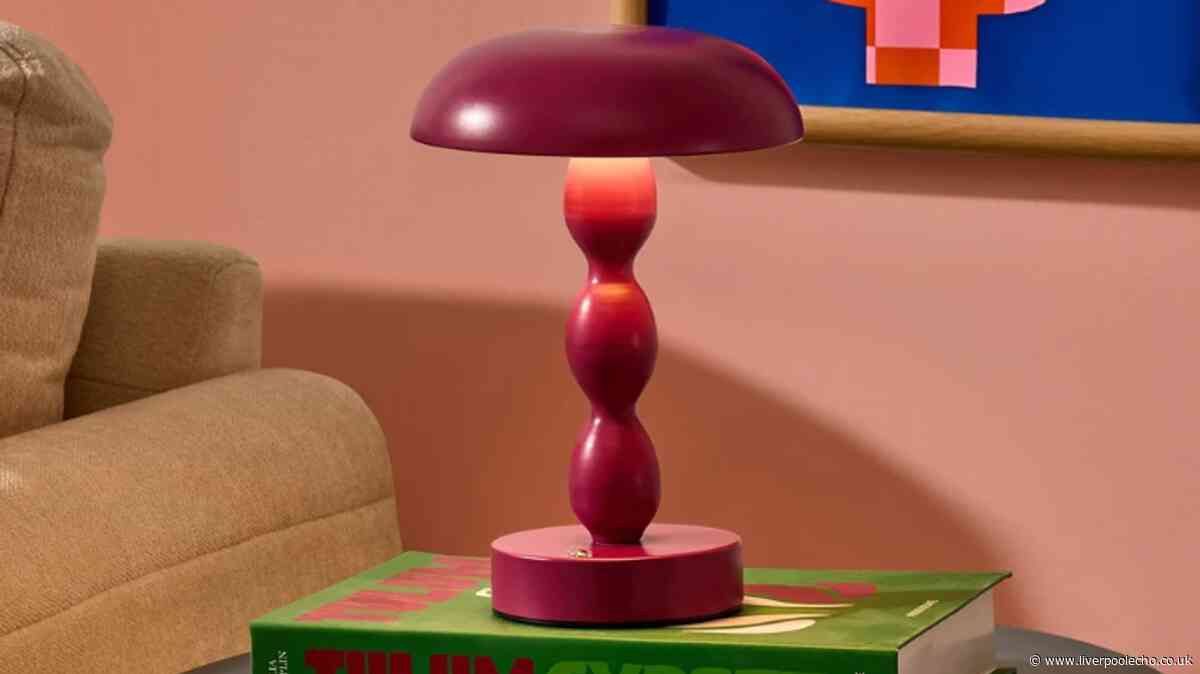 Dusk shoppers snap up 'warming' sale £25 rechargeable lamp in autumn colour
