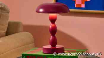 Dusk shoppers snap up 'warming' sale £25 rechargeable lamp in autumn colour