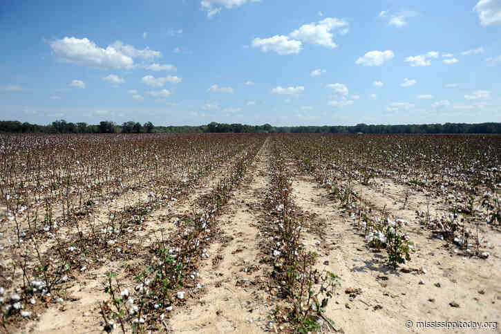 Mississippi issues Lafayette burn ban after senator puts heat on agency amid drought