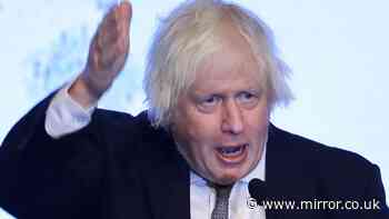 Reform finance boss 'talking nonsense' over claim Boris Johnson was asked to stand against Farage in Clacton