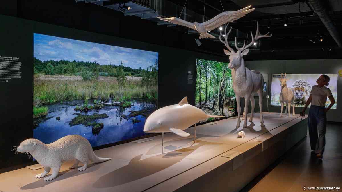 Vor Lego Discovery Centre: Diese Erlebniswelt erhält den „Tourismuspreis 2026“
