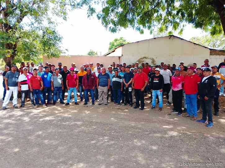 Denuncian deforestación ilegal y daños a la producción de caña en el Centro Agrario Montaña Verde