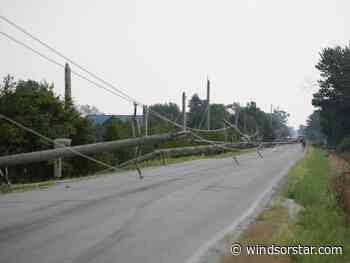 Overnight storm snaps hydro poles, topples trees across Windsor-Essex