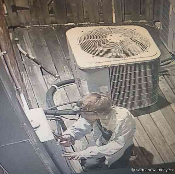 Downtown Sarnia businesses targeted in AC wiring thefts