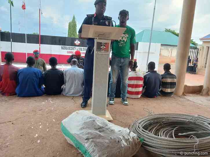 NSCDC arrests nine over vandalism of power, railway infrastructure in Gombe