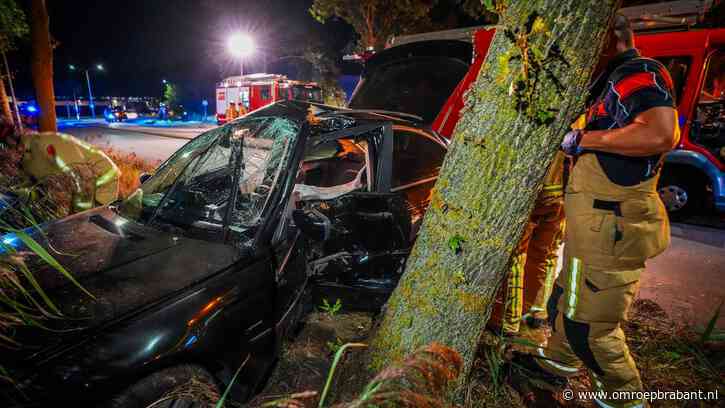 Auto vliegt uit de bocht en botst tegen boom in Helmond