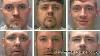 Eight faces of crime gang who stole expensive cars and their exact roles