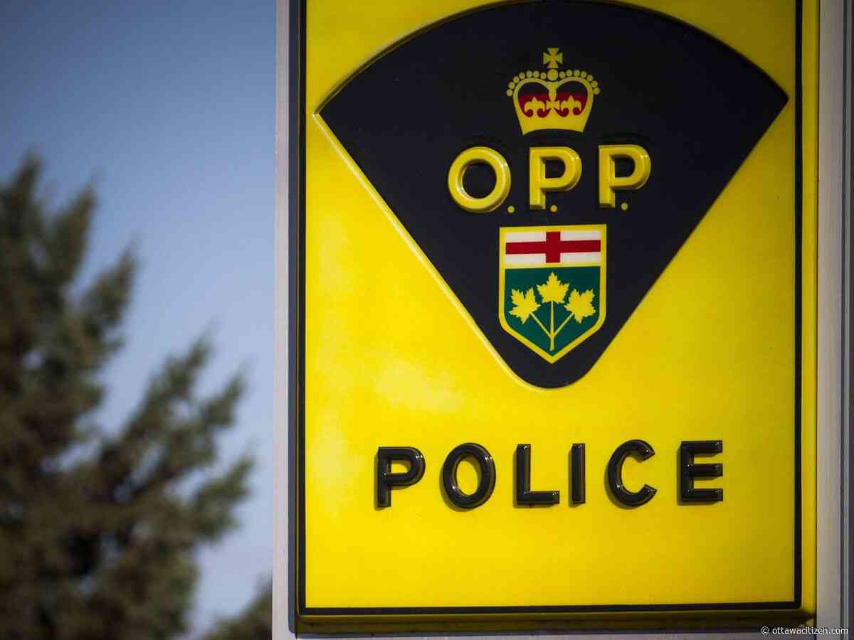 Pedestrian dead after being struck by bus on Highway 417