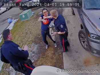 Edmonton woman whose dogs killed child sentenced to house arrest