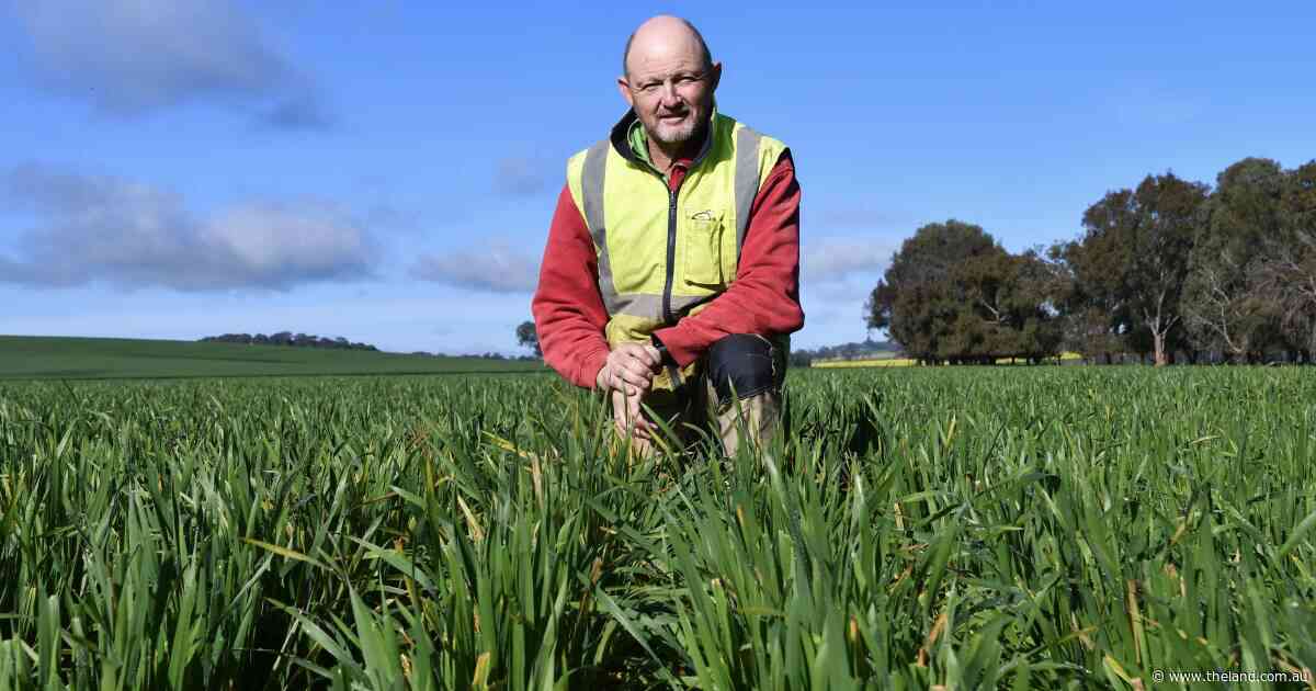 How a targeted approach is maximising the value of inputs amid high prices