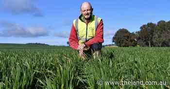 How a targeted approach is maximising the value of inputs amid high prices