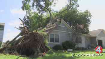 Tree falls on Olcott home during Wednesday storm