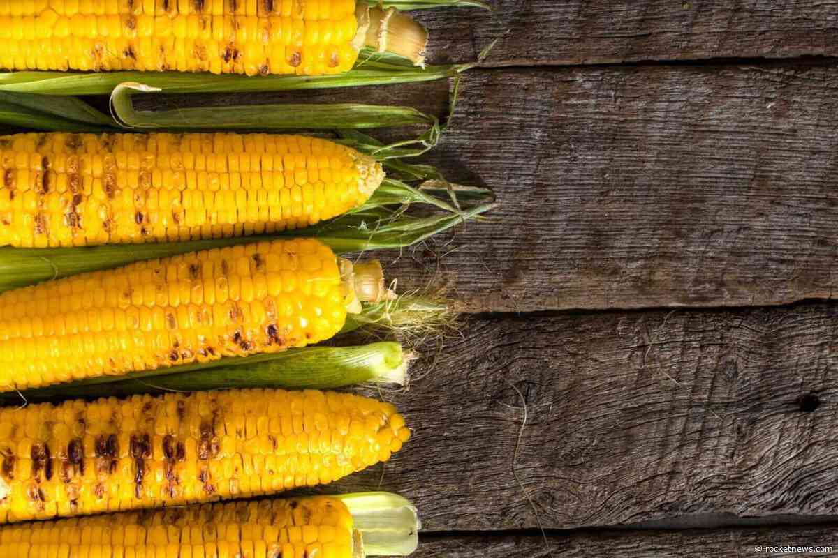 Corn Bulls Taking a Breather on Wednesday Morning