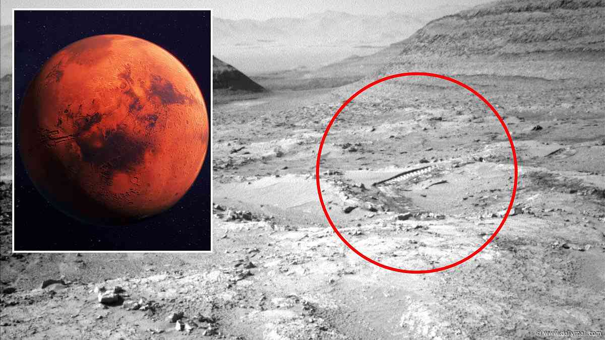 NASA photo of Mars sparks theories of alien life as eagle-eyed viewers spot TRACKS in the dust