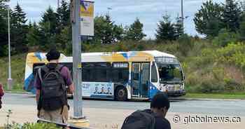 Free transit pass program for Halifax students to continue after funding uncertainty