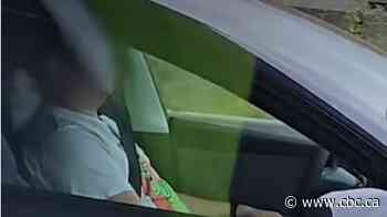 Sleeping Trans-Canada Tesla drivers caught on video, fined $368