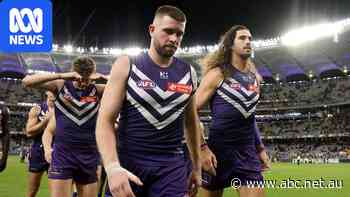 Dockers wilt against masterful Hawthorn in qualifying final