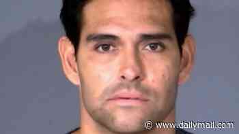 Mark Sanchez files guilty plea as ex-NFL quarterback faces sentencing over near-fatal brawl with truck driver